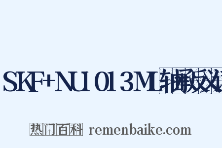 SKF+NU1013ML轴承反义词是什么意思的图片